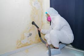 Best Comprehensive Air Testing for Mold Contaminants  in Havelock, NC